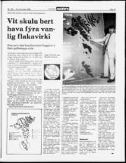 Síða 19