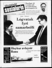 Síða 1