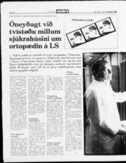 Síða 12