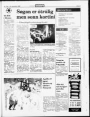 Síða 23