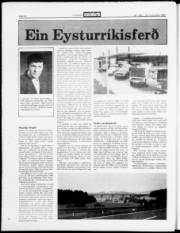 Síða 18