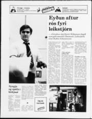 Síða 24