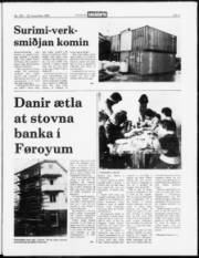 Síða 3