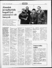 Síða 17