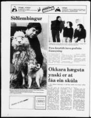 Síða 20