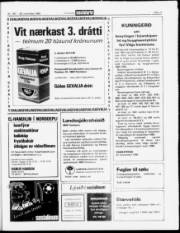 Síða 17