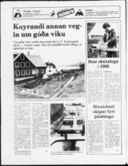 Síða 20
