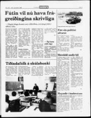 Síða 3