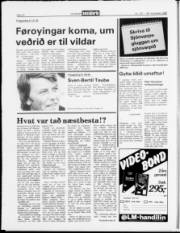 Síða 14