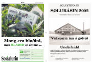 Síða 11