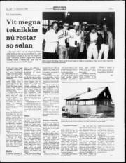 Síða 3