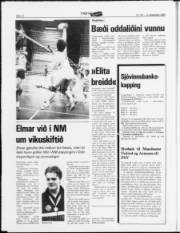 Síða 12