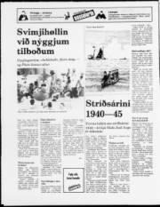 Síða 20