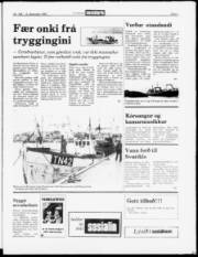Síða 5