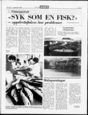Síða 13