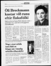 Síða 2