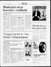 Síða 5