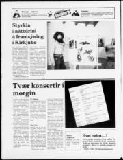 Síða 24
