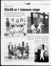 Síða 12