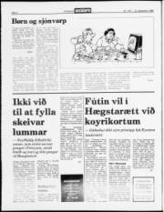 Síða 2