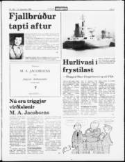 Síða 5