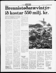 Síða 14