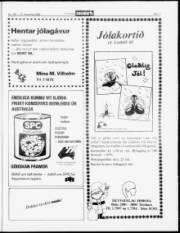 Síða 17