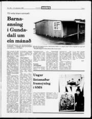 Síða 3