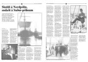 Síða 12