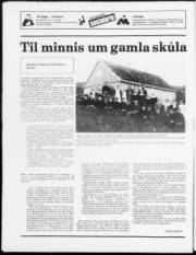 Síða 24