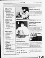 Síða 28