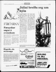 Síða 5