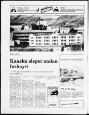 Síða 24