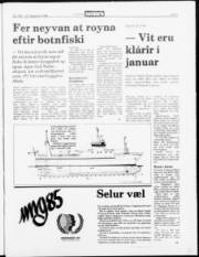 Síða 5