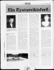 Síða 20