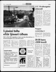 Síða 5