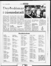 Síða 15
