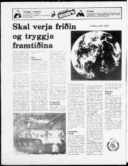 Síða 20