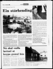 Síða 7