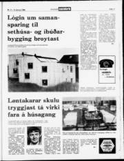 Síða 17