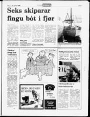 Síða 5