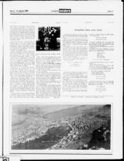 Síða 11