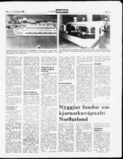Síða 13