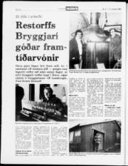 Síða 20