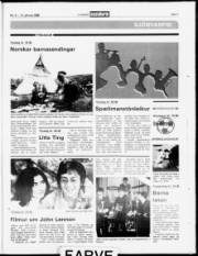 Síða 31