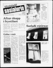 Síða 1