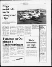 Síða 5