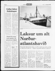 Síða 12