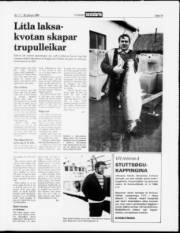 Síða 13
