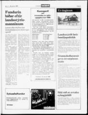 Síða 21